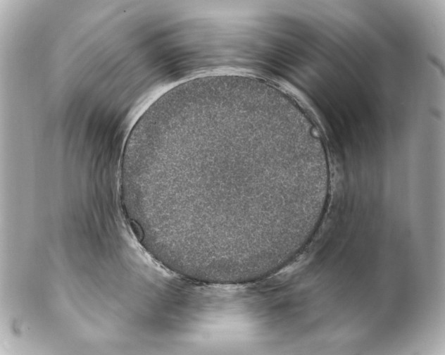 X0000102040860200808151405