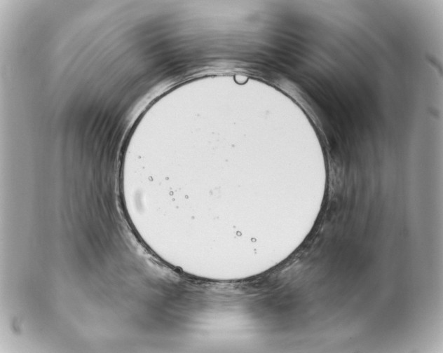 X0000102040861200808151405