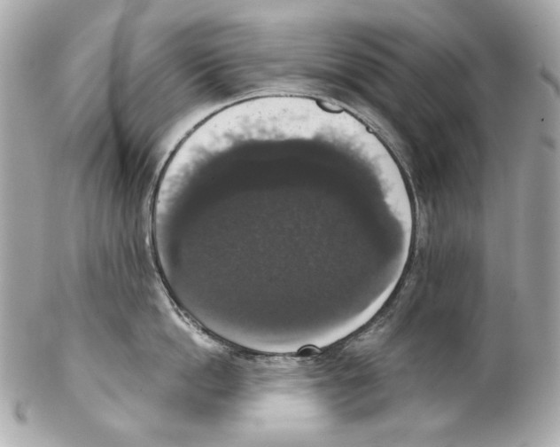 X0000102040862200808151405