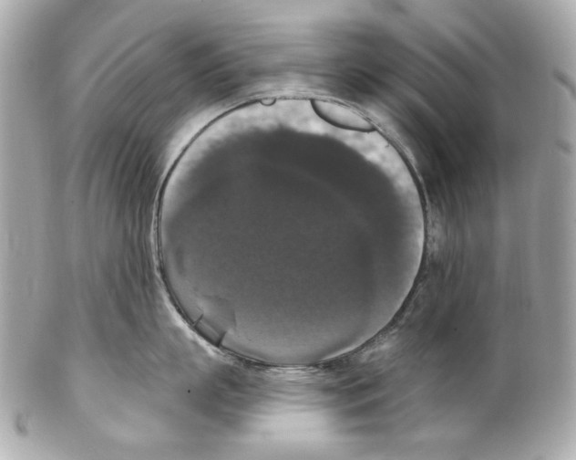 X0000102040863200808151405