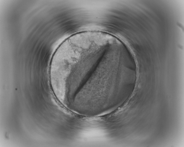X0000102040864200808151405