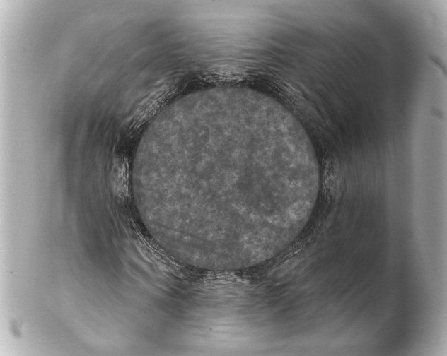 X0000102040866200808151404