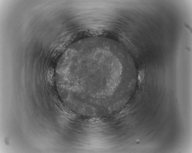 X0000102040867200808151404