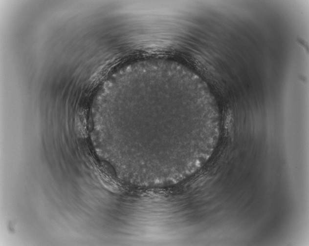 X0000102040868200808151404