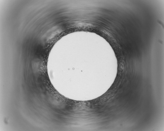 X0000102040869200808151404