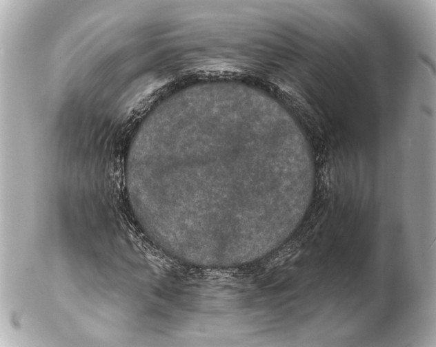 X0000102040870200808151404