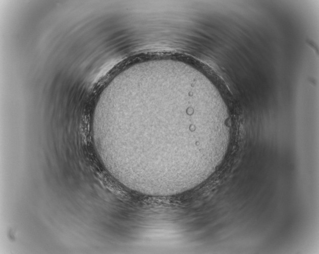 X0000102040871200808151404