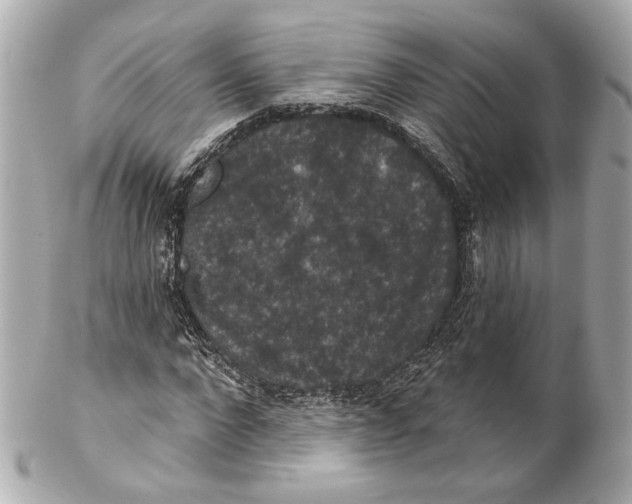 X0000102040872200808151404