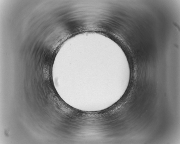 X0000102040873200808151404