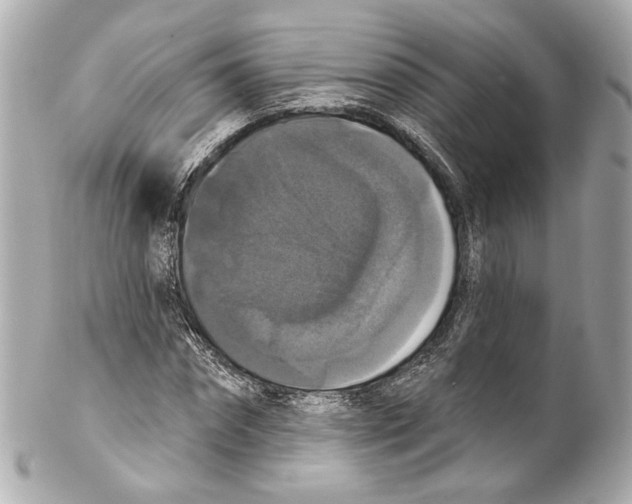 X0000102040874200808151404