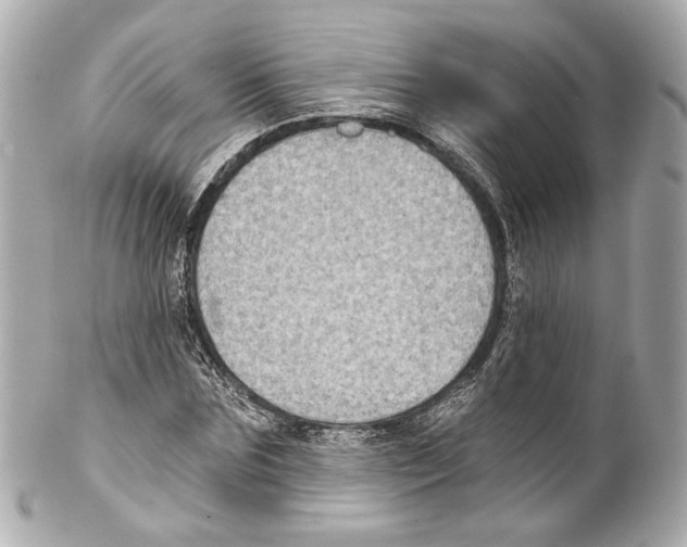X0000102040875200808151404