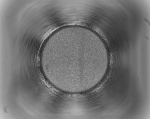 X0000102040876200808151404