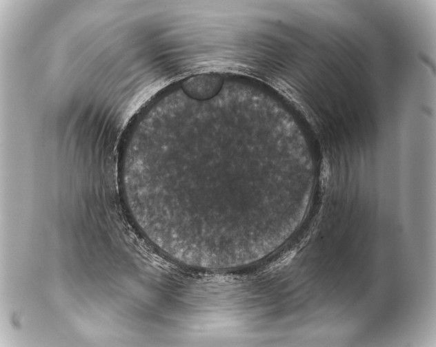 X0000102040877200808151404