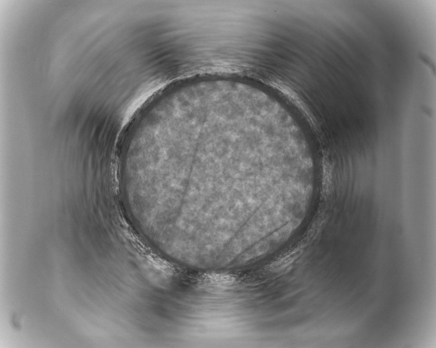X0000102040878200808151404
