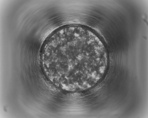 X0000102040879200808151404