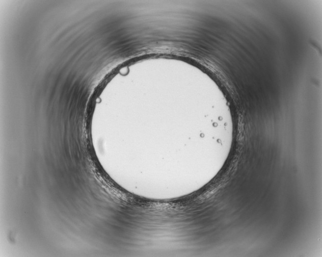 X0000102040880200808151404