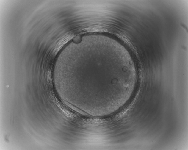 X0000102040881200808151404
