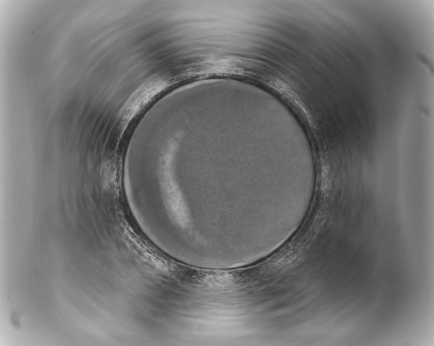 X0000102040882200808151404