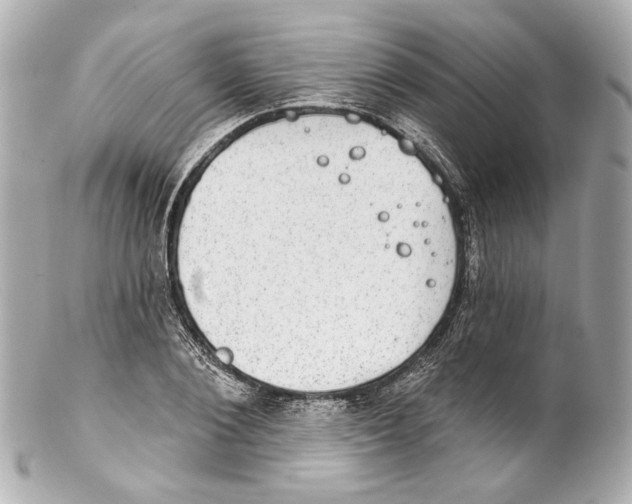 X0000102040884200808151404