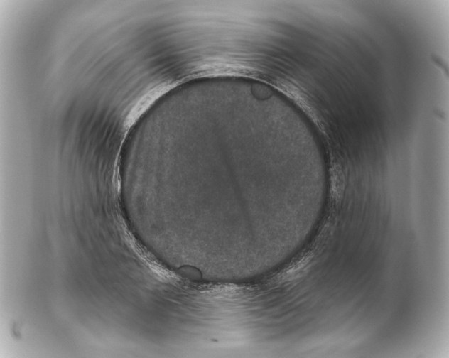 X0000102040885200808151404