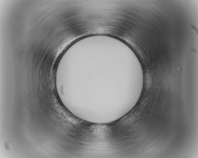 X0000102040886200808151404
