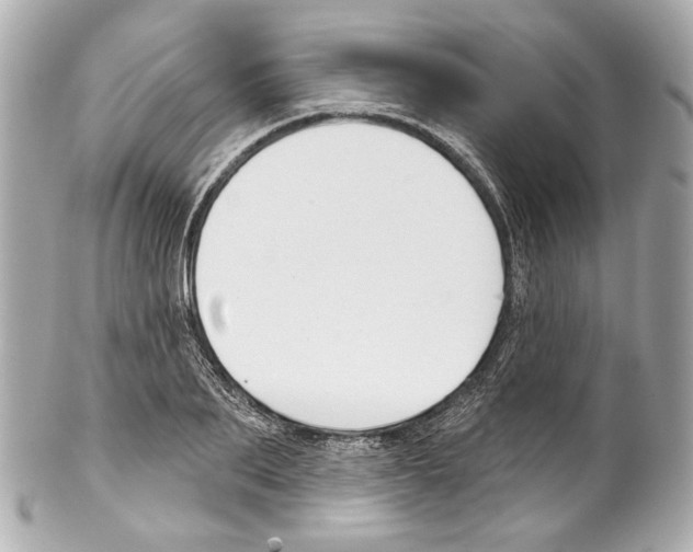 X0000102040887200808151404