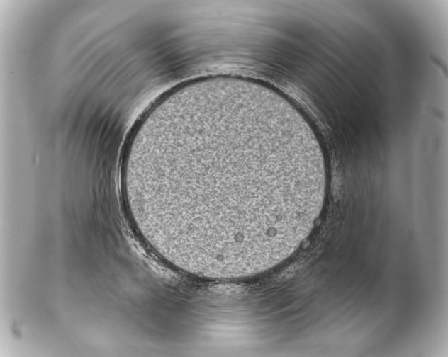 X0000102040888200808151404