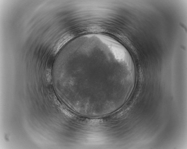 X0000102040889200808151404