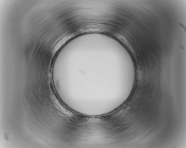 X0000102040890200808151404