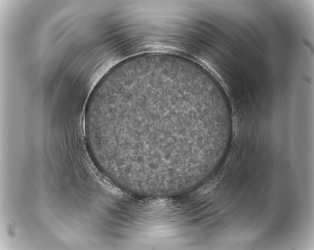 X0000102040891200808151404