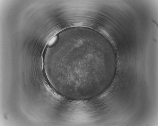 X0000102040892200808151404