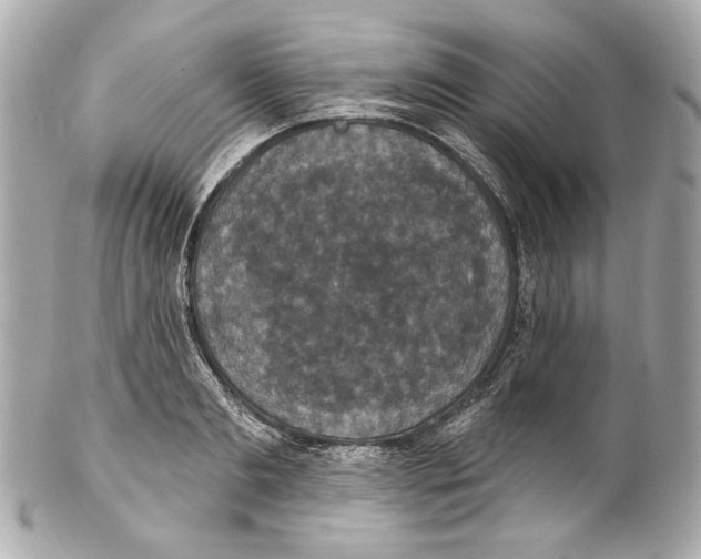 X0000102040893200808151404