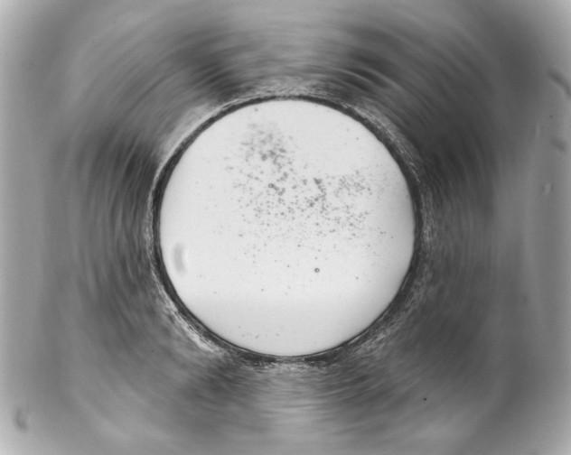 X0000102040894200808151404