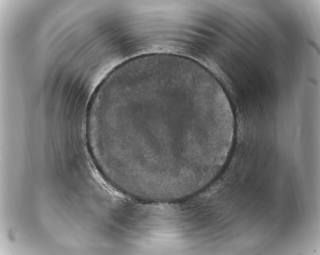 X0000102040896200808151404