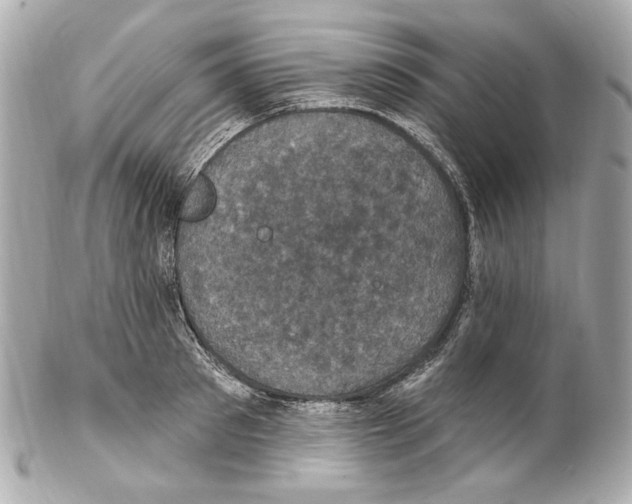 X0000102040897200808151404