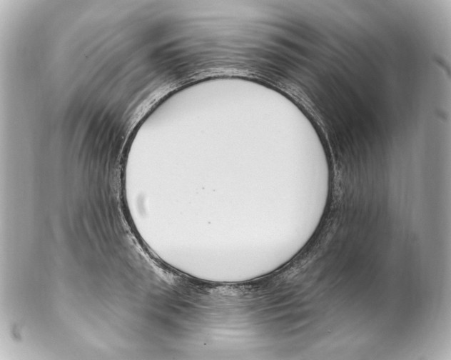 X0000102040898200808151404