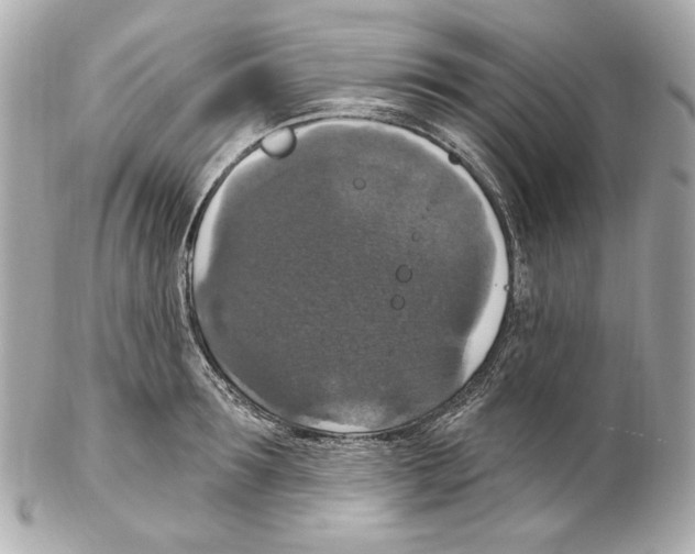 X0000102040899200808151404