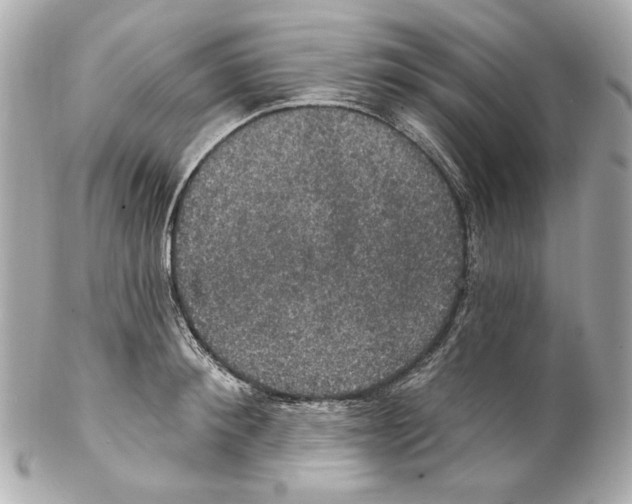 X0000102040900200808151404