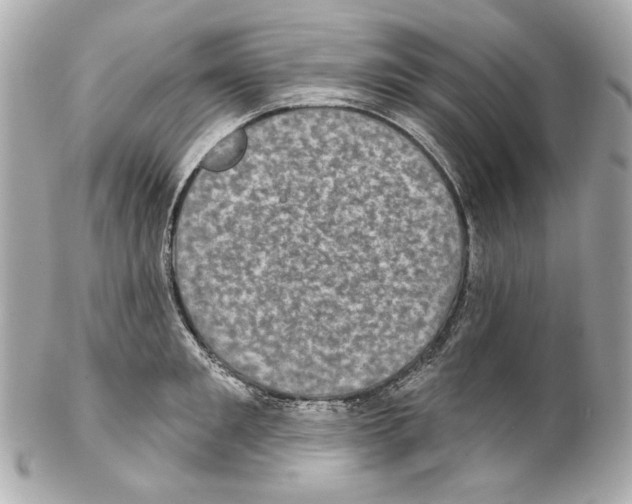 X0000102040901200808151404