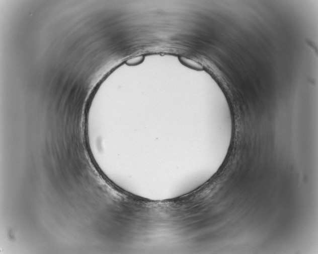 X0000102040902200808151404