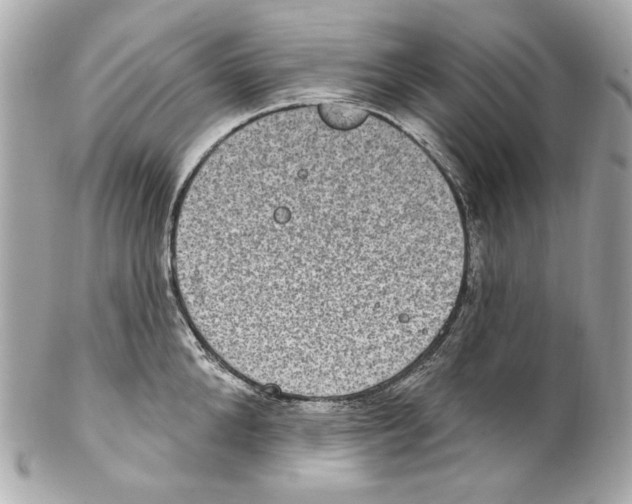 X0000102040904200808151404