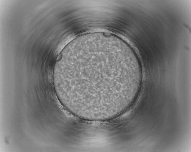 X0000102040905200808151404