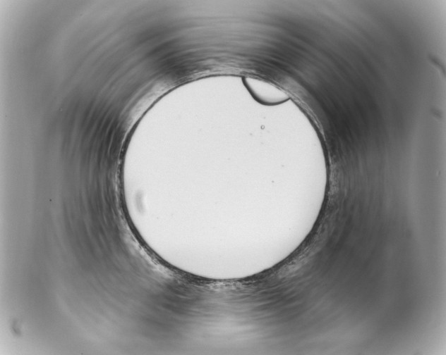 X0000102040906200808151404