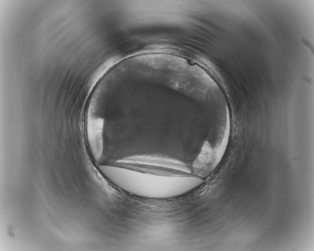X0000102040907200808151404