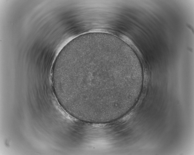 X0000102040908200808151404