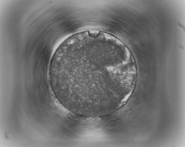 X0000102040912200808151404