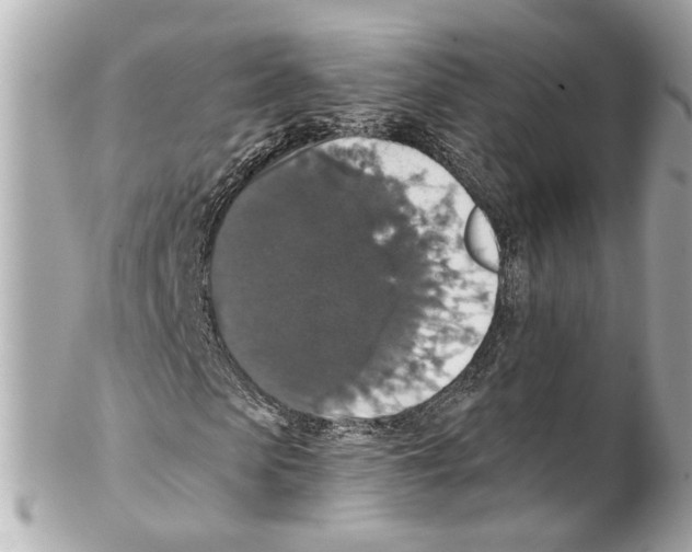 X0000102040913200808151403