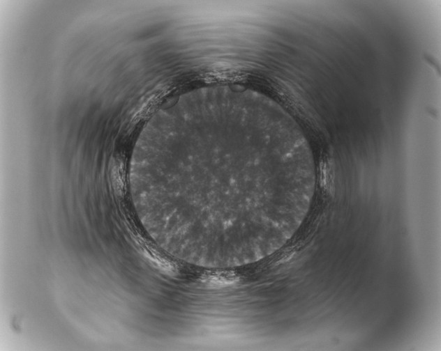 X0000102040915200808151403