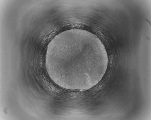 X0000102040916200808151403