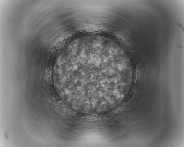X0000102040917200808151403